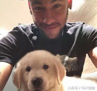 世界杯來了！讓我們扒一扒這些超級巨星們都在