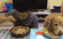 如果你家也有只吃貨狗狗，這點一定要注意！