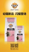 奧丁精品幼貓糧閃耀登場?。?！