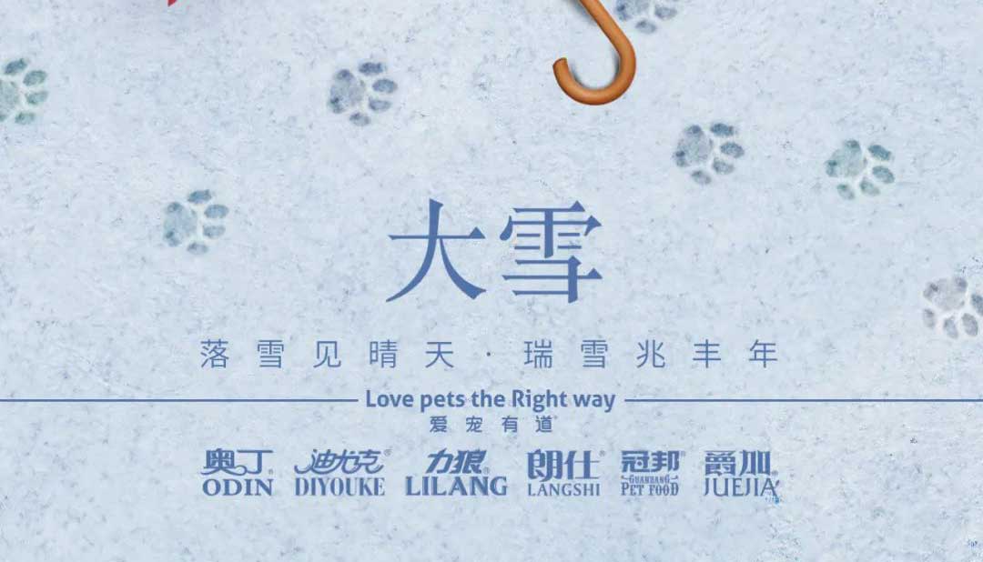 大雪丨雪落知寒意 久伴見初心！