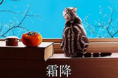霜降丨縱然霜華盡染，心中美好如初