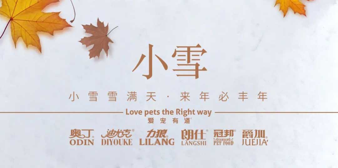 小雪丨天地初寒，歲月安暖